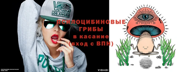 ешки Каменка