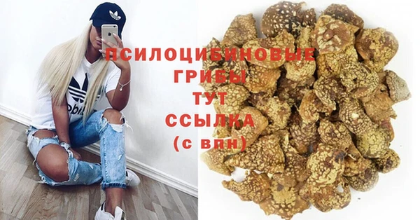 альфа пвп Каменногорск