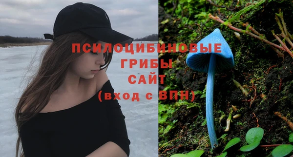 ешки Каменка