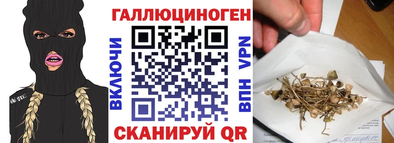 Купить  Заводоуковск  Псилоцибиновые грибы Psilocybine cubensis 